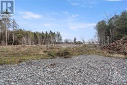 Spring view of cleared area - 