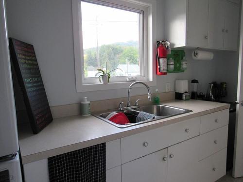 315 10Th Avenue, Castlegar, BC - Indoor Photo Showing Kitchen With Double Sink