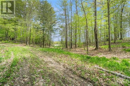 The lot at 132 Old Mine Rd - 132 Old Mine Road, Perth, ON - Outdoor With View