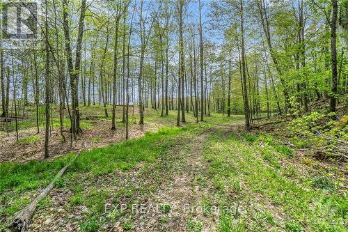 132 Old Mine Road, Lanark, ON - Outdoor With View