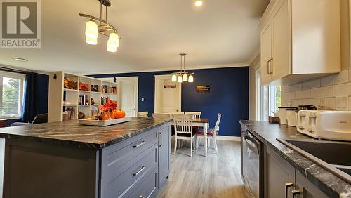 3 Forest Road, Chance Cove, NL - Indoor Photo Showing Kitchen