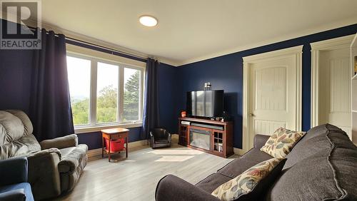 3 Forest Road, Chance Cove, NL - Indoor Photo Showing Living Room