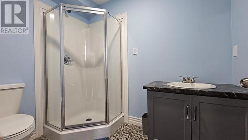 3 Forest Road, Chance Cove, NL - Indoor Photo Showing Bathroom