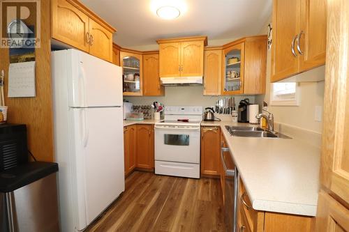 74 Seaborn Street, St. John'S, NL - Indoor Photo Showing Kitchen With Double Sink