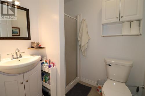 74 Seaborn Street, St. John'S, NL - Indoor Photo Showing Bathroom