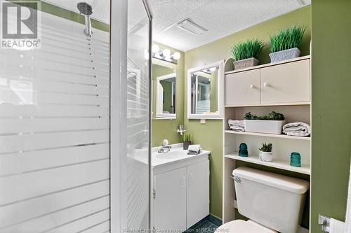 1009 Dot Avenue, Windsor, ON - Indoor Photo Showing Bathroom