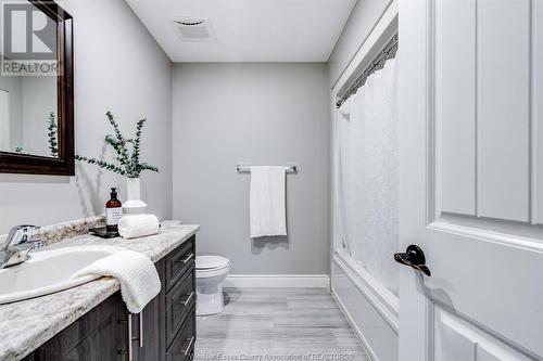 38 Olive Drive, Leamington, ON - Indoor Photo Showing Bathroom