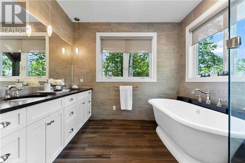 597 Point Trail, Westmeath, ON - Indoor Photo Showing Bathroom