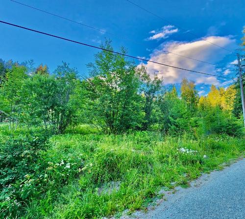 Lot 69 Pine Avenue, Anglemont, BC - Outdoor