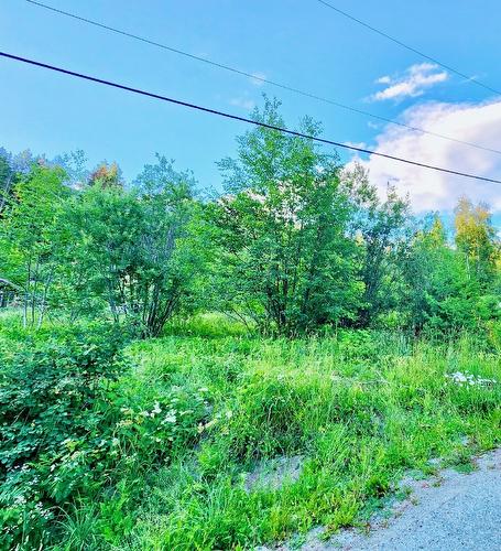 Lot 69 Pine Avenue, Anglemont, BC - Outdoor