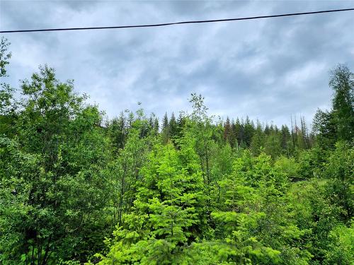 Lot 69 Pine Avenue, Anglemont, BC - 