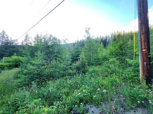 Lot 69 Pine Avenue, Anglemont, BC - Outdoor