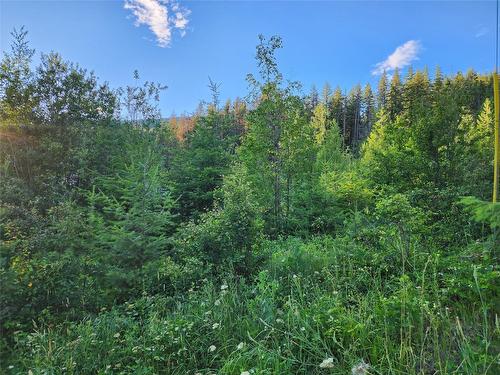 Lot 69 Pine Avenue, Anglemont, BC - Outdoor