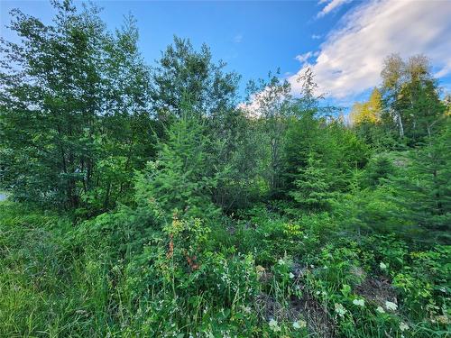 Lot 69 Pine Avenue, Anglemont, BC - Outdoor