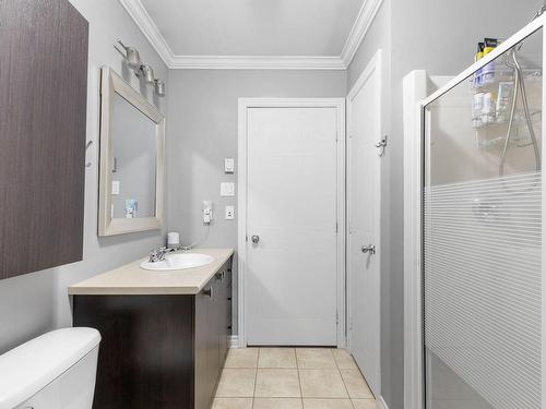 Salle de bains - 5-7170 Rue Du Chardonneret, Brossard, QC - Indoor Photo Showing Bathroom