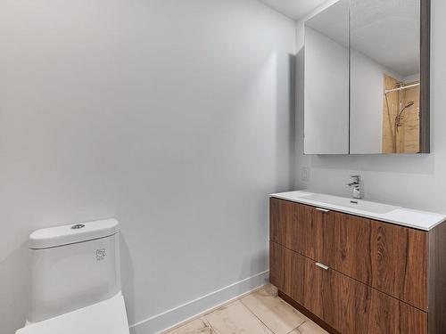 Bathroom - 508-1700 Rue Viola-Desmond, Montréal (Lasalle), QC - Indoor Photo Showing Bathroom