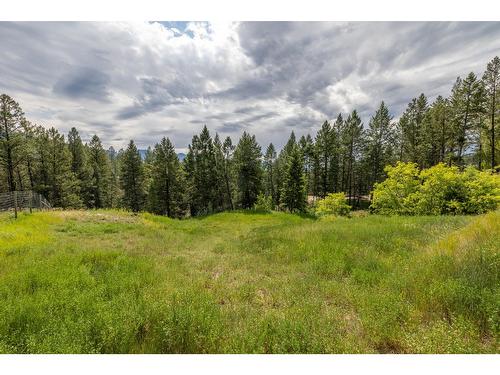 1725 13Th Avenue, Invermere, BC - Outdoor With View