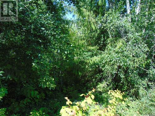 Lot 181 Woodland Place, Blind Bay, BC 