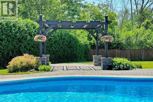 49 Ferncroft Drive, Georgina, ON - Outdoor With In Ground Pool With Backyard