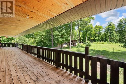 524 Black River Road, Kawartha Lakes, ON - Outdoor With Deck Patio Veranda With Exterior
