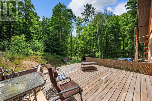 524 Black River Road, Kawartha Lakes, ON - Outdoor With Deck Patio Veranda