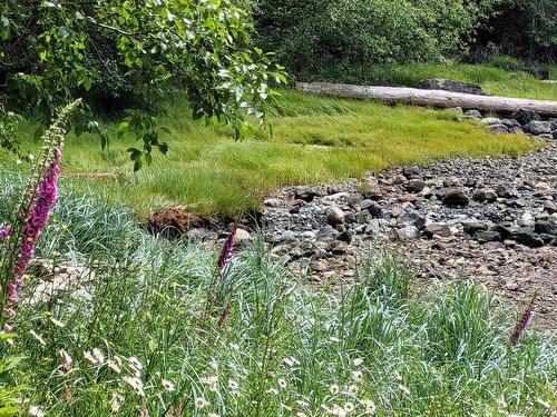 Sl 6 Whalebone Cove Rd, Quadra Island, BC 