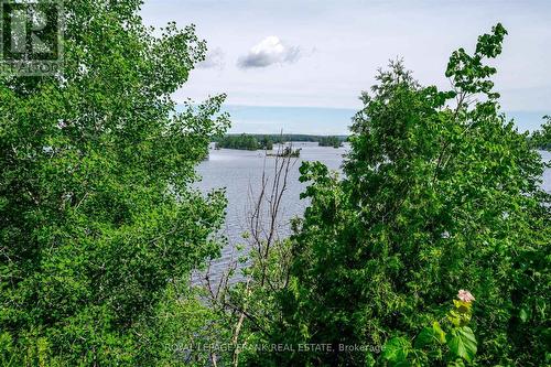 1194 Birchview Road, Douro-Dummer, ON - Outdoor With Body Of Water