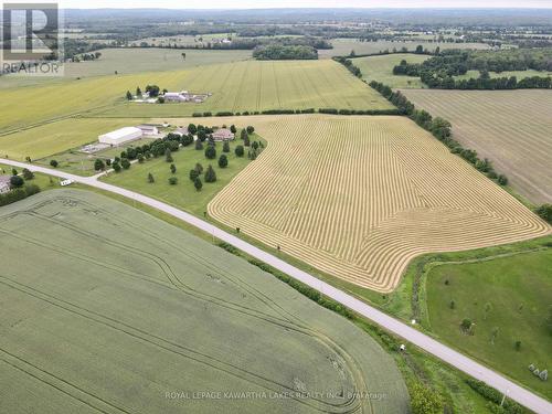 207 Slanted Road, Kawartha Lakes, ON - Outdoor With View