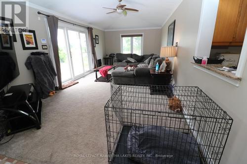 207 Slanted Road, Kawartha Lakes, ON - Indoor Photo Showing Living Room With Fireplace