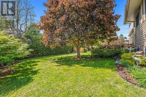 17 Huron Drive, Brighton, ON - Outdoor