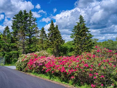 177 Corkums Island Road, Corkums Island, NS 