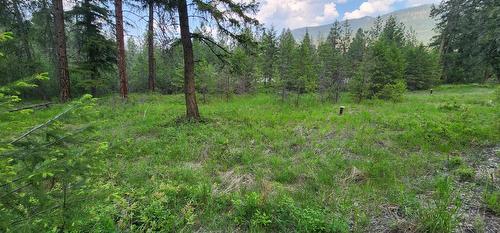 Lot 2 Highway 395, Christina Lake, BC 