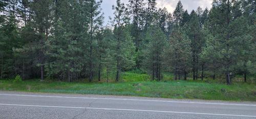 Lot 2 Highway 395, Christina Lake, BC 