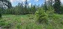 Lot 2 Highway 395, Christina Lake, BC 