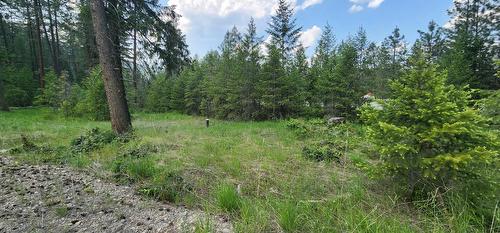 Lot 2 Highway 395, Christina Lake, BC 