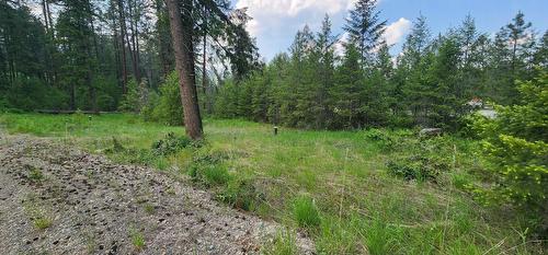 Lot 2 Highway 395, Christina Lake, BC 