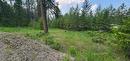 Lot 2 Highway 395, Christina Lake, BC 