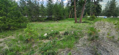 Lot 2 Highway 395, Christina Lake, BC 