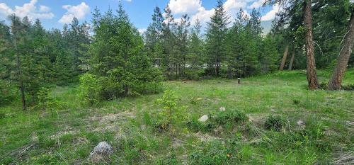 Lot 2 Highway 395, Christina Lake, BC 