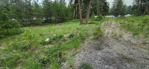 Lot 2 Highway 395, Christina Lake, BC 