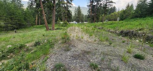 Lot 2 Highway 395, Christina Lake, BC 