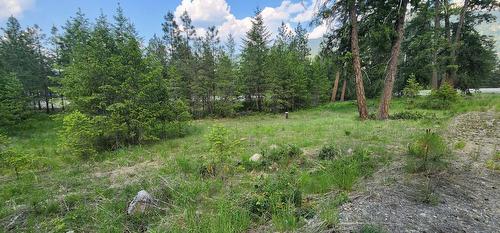 Lot 2 Highway 395, Christina Lake, BC 