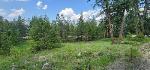 Lot 2 Highway 395, Christina Lake, BC 