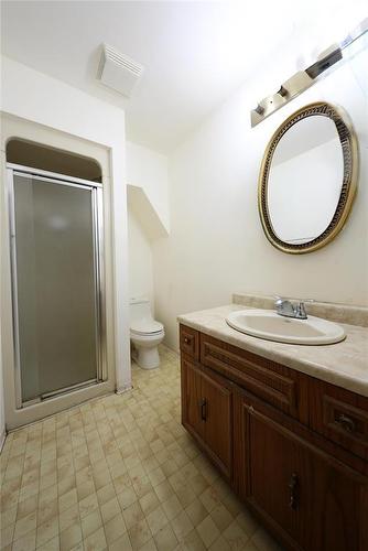 290 Kirkbridge Drive, Winnipeg, MB - Indoor Photo Showing Bathroom