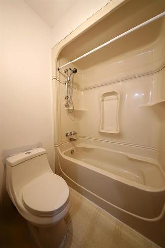 290 Kirkbridge Drive, Winnipeg, MB - Indoor Photo Showing Bathroom