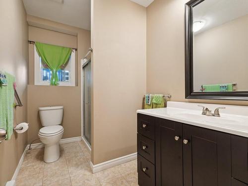 Dwelling - 229 Ch. Du Marquis, Pontiac, QC - Indoor Photo Showing Bathroom