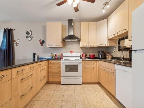 Logement - 229 Ch. Du Marquis, Pontiac, QC - Indoor Photo Showing Kitchen