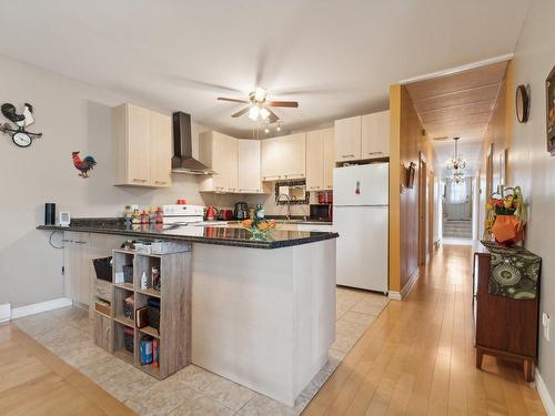 Logement - 229 Ch. Du Marquis, Pontiac, QC - Indoor Photo Showing Kitchen