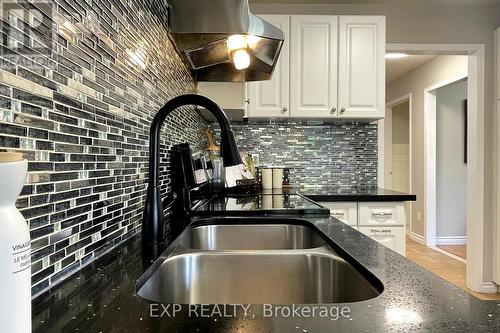 113 Large Crescent, Ajax, ON - Indoor Photo Showing Kitchen With Double Sink