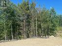 233 Eagle Point Drive, La Ronge, SK 